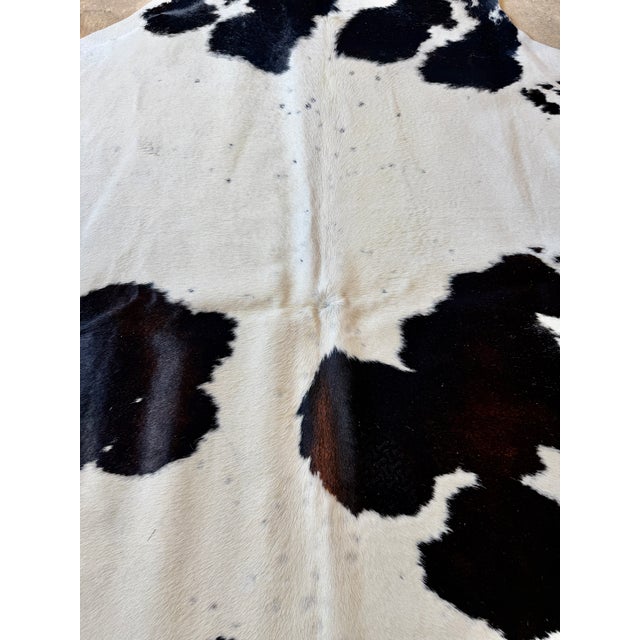 In the classic spotted black and white configuration, this Brazilian cowhide and a beautiful sheen with faint polka dot-...