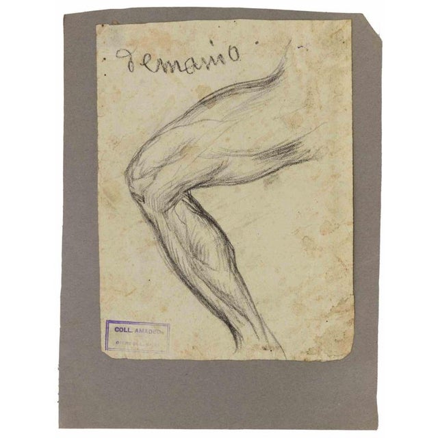 Anatomical studies is an original artwork realized by Luigi Galli in the late 19th Century. Pencil drawing on paper. The...