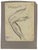 Anatomical studies is an original artwork realized by Luigi Galli in the late 19th Century. Pencil drawing on paper. The...