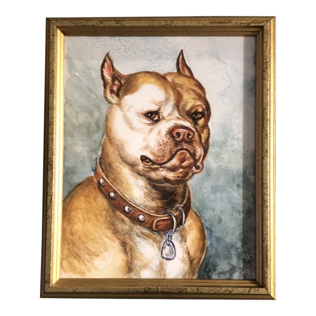 Original Vintage Pit Bull Terrier Watercolor Painting Signed For Sale