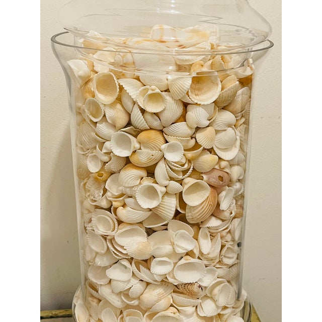 1970s Three Large Apothecary Glass Jars With Sea Shells For Sale - Image 4 of 8