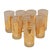 Mid-Century Modern 1970s Mid-Century Modern Culver "Tabby" 22k Gold & Frosted Cat Highball Glasses & Matching Tray - 9 Pcs For Sale - Image 3 of 6