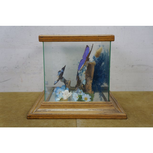 Vintage Floral Butterfly Taxidermy Apothecary Shadow Box Display Case Specimen For Sale - Image 12 of 13