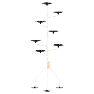 Albero Plant Stand by Achille Castiglioni for Zanotta, Italy For Sale