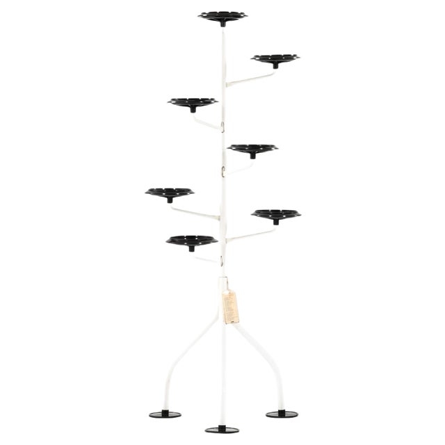 Albero Plant Stand by Achille Castiglioni for Zanotta, Italy For Sale