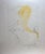 1970s Dali Arnella the Golden Fleece Hand Signed Numbered Surrealism Art For Sale