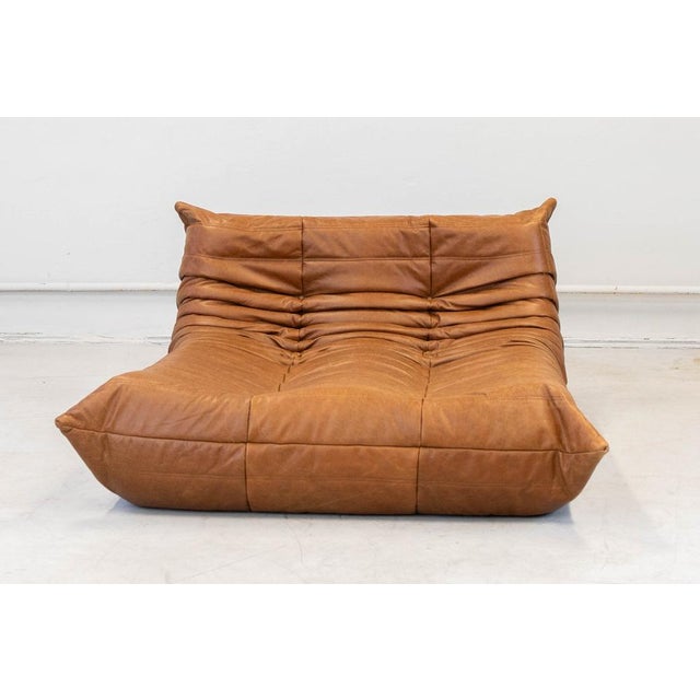 Togo Chaise Lounge in Pine Leather by Michel Ducaroy for Ligne Roset, 1974 For Sale - Image 12 of 18