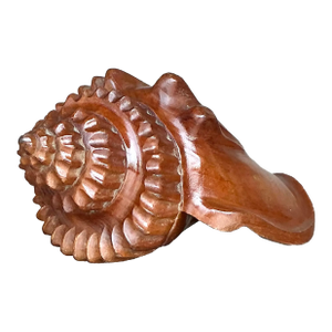 Vintage Boho Carved Wood Conch Shell