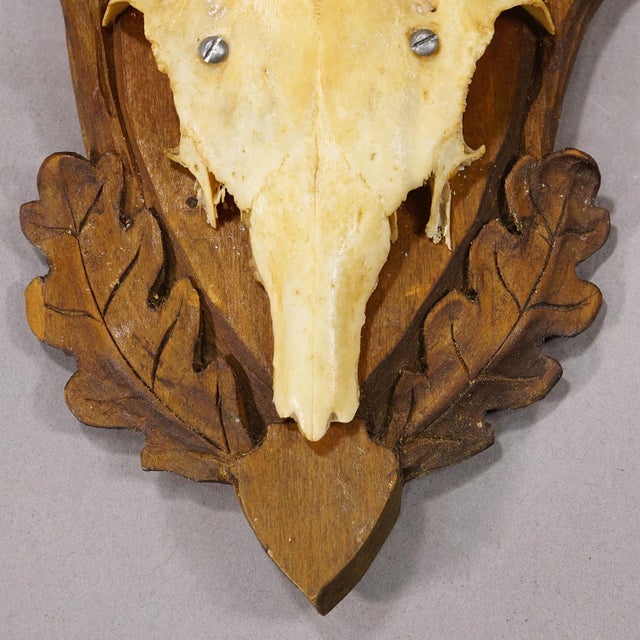 Mid 20th Century Vintage Black Forest Red Deer Trophy on Carved Plaque, Germany 1950s For Sale - Image 5 of 5