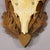 Mid 20th Century Vintage Black Forest Red Deer Trophy on Carved Plaque, Germany 1950s For Sale - Image 5 of 5
