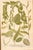 Set of Eight Framed Botanicals by J. Wilhelm Weinmann For Sale - Image 11 of 17