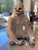 Decorative statue of a seated gorilla, made of ceramic with a glossy white finish. The gorilla has realistic details in...