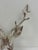 Metal Deer Head Wall Sculpture For Sale - Image 12 of 12