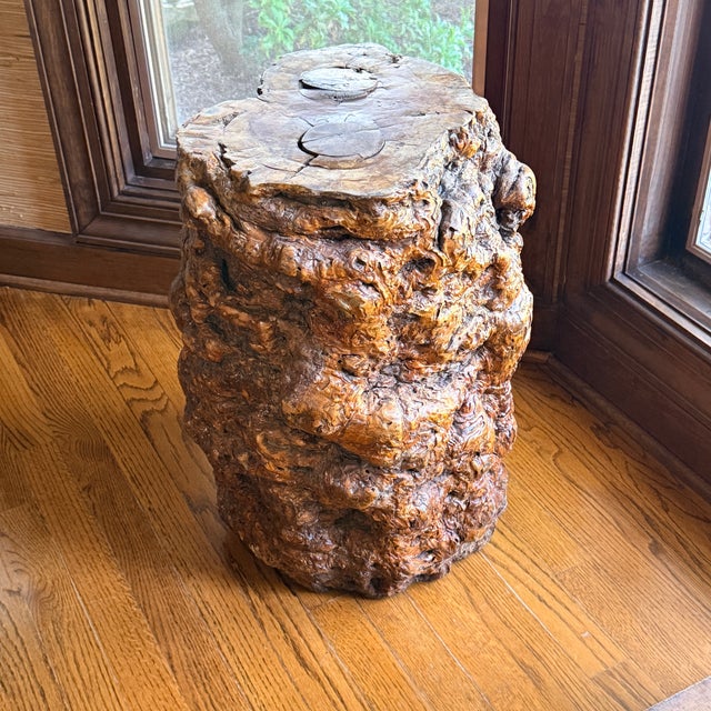 Contemporary Mid Century Olive Wood Sculpture Seat For Sale - Image 3 of 8