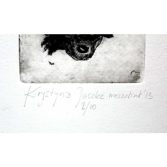 2000 - 2009 Krystyna Jaszke, Bird, Mezzotint on Paper, 2013 For Sale - Image 5 of 6
