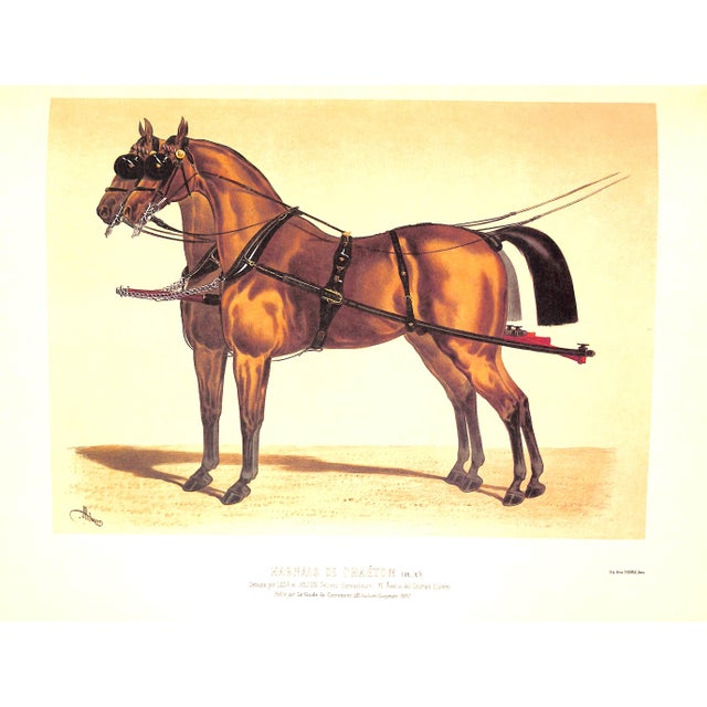 1980s "La Sellerie Francaise Et Etrangere" 1986 Lene For Sale - Image 5 of 8