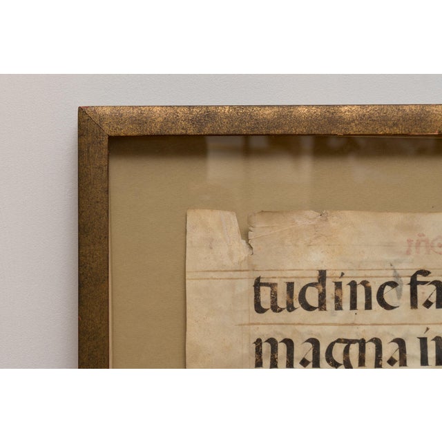 16th Century 16th Century Framed Medieval Illuminated Manuscript Leaf From a Liturgical Choir Book For Sale - Image 5 of 9