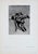 Set of 12 Antique Botanical Photogravure Plates From the First Edition of Nature's Aid to Design (1907) For Sale - Image 4 of 13