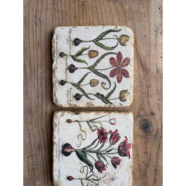 Late 20th Century Verta Botanical Tulip Travertine Stone Coasters – Set of 3 For Sale - Image 4 of 11