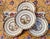 1930s Spode Cowslip Basketweave Brown and Cream Ceramic Teacups and Saucers, Set of 4 For Sale - Image 16 of 18