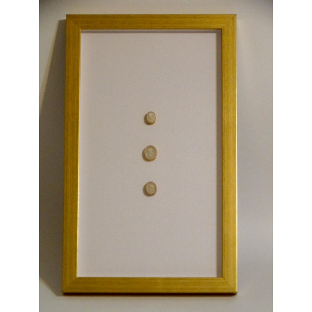 1820's Framed Genuine Antique Grand Tour Intaglios, Set of 2 For Sale - Image 6 of 12