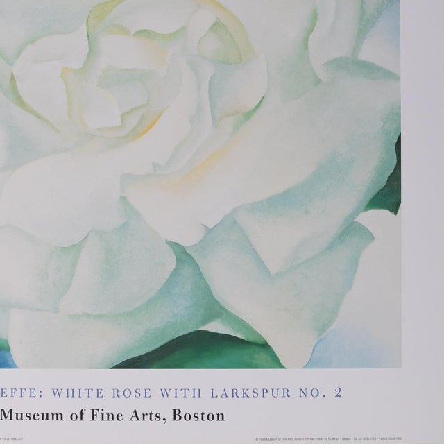 Modern White Rose with Larkspur Poster after Georgia O'Keeffe For Sale - Image 3 of 6