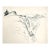 1959 Neil Meitzler Cascade Mountains Washington Drawing For Sale