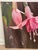 Textile Melissa Mailer Yates Painting Fuchsia Oil Painting For Sale - Image 7 of 10