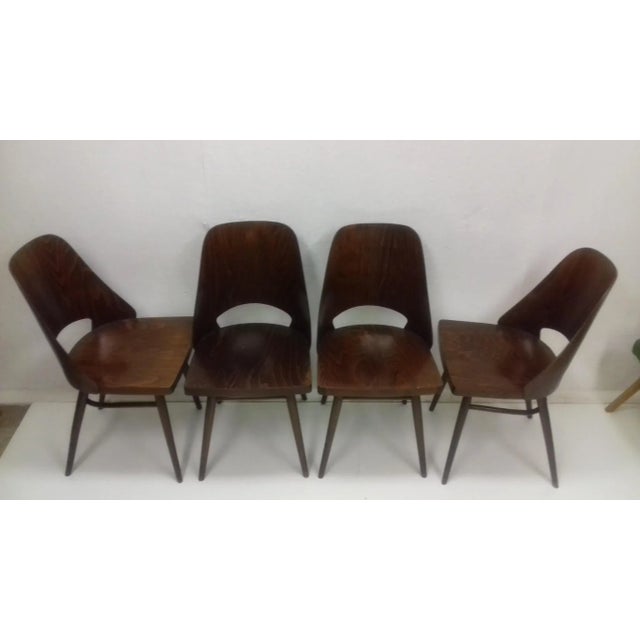 Brown Beech Dining Chairs from Thonet, 1960s, Set of 4 For Sale - Image 8 of 12