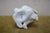 Antique Art Deco Austrian Augarten Wien Porcelain Preening Rabbit Figurine 3.5" For Sale - Image 12 of 14