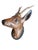 Cabin Black Forest Ceramic Terra Cotta Deer Heads For Sale - Image 3 of 5