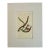 Starfish Flower Botanical Original Engraving by Curtis, 1807 For Sale