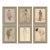 Beatrice, Emily, Catherine, Elizabeth, Lucretzia & Isabelle Framed Art Prints - Set of 6 by David Phoenix For Sale