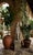 Vintage Cast Stone Pierrot Garden Statue on Pedestal For Sale - Image 10 of 12