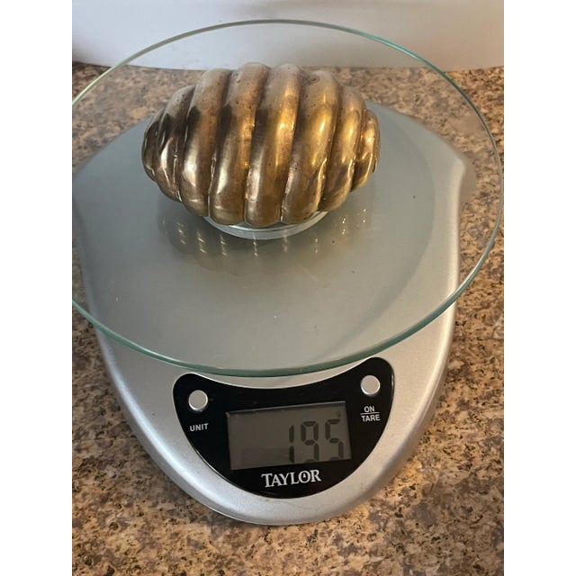 Metal Brass Shell Paperweight For Sale - Image 7 of 8