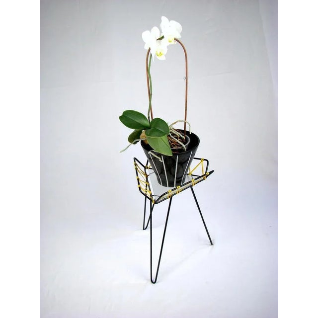 Mid-Century Minimalist Tripod Plant Stand, 1950s For Sale - Image 5 of 10