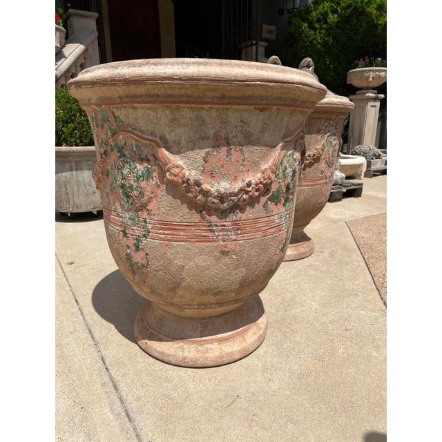 Early 21st Century Pair of Antiqued Lemon or Orange Tree Anduze Pots From the Cevennes, France For Sale - Image 5 of 12