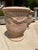 Early 21st Century Pair of Antiqued Lemon or Orange Tree Anduze Pots From the Cevennes, France For Sale - Image 5 of 12