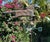 Exceptional 19th Century American Copper Running Horse Weathervane Original Stand For Sale In San Diego - Image 6 of 18