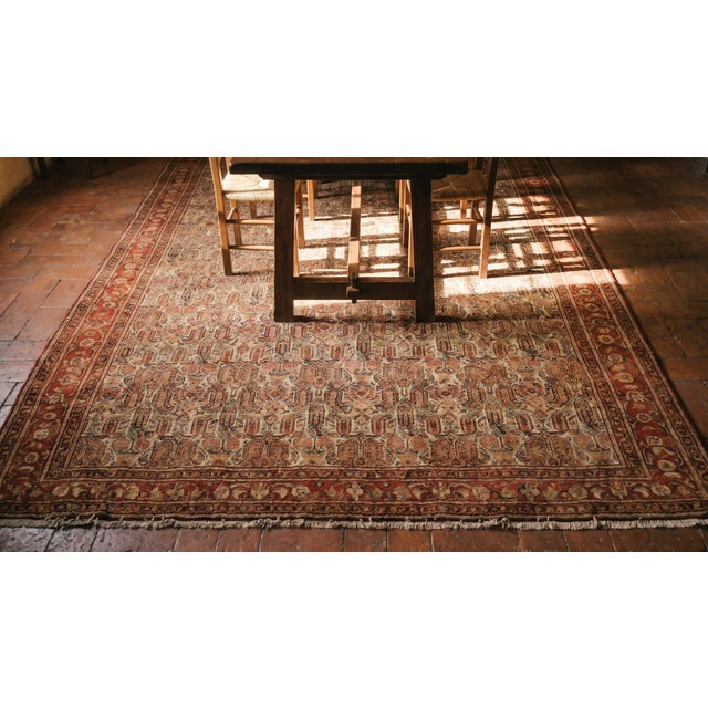 1880s Ivory Paisley Traditional Antique Senneh Persian Rug 4'2" X 6'4" Handknotted Wool Carpet For Sale In New York - Image 6 of 8