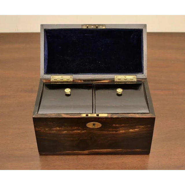 19th Century Coromandel Tea Caddy With Domed Top For Sale - Image 4 of 4