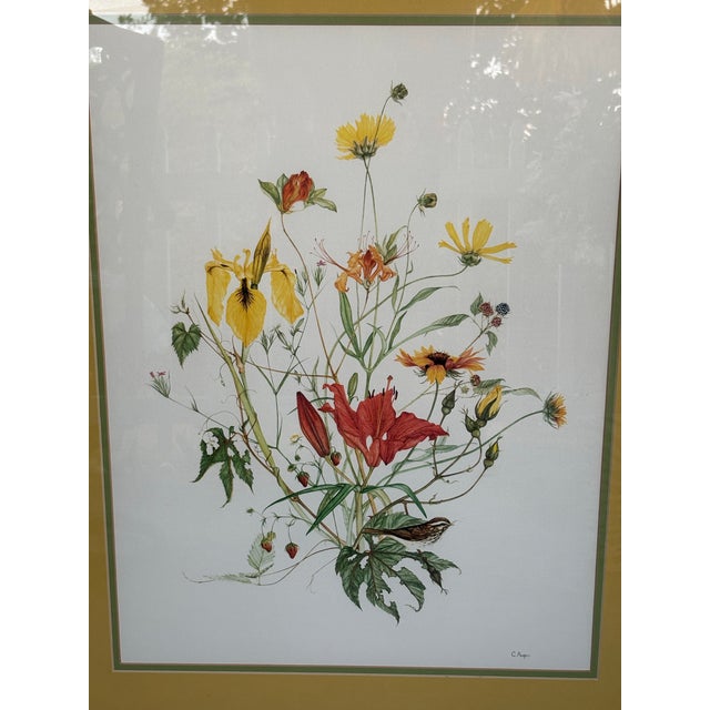 This refined vintage botanical illustration by C. Augeri depicts an elegant spring floral arrangement featuring...
