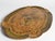 Mid-Century Florentine Rococo Scalloped Giltwood Tray, Italy, 1950s For Sale - Image 4 of 12