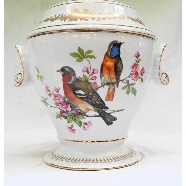 White French Sevres Porcelain Lidded Pots with Parrots, Set of 2 For Sale - Image 8 of 9