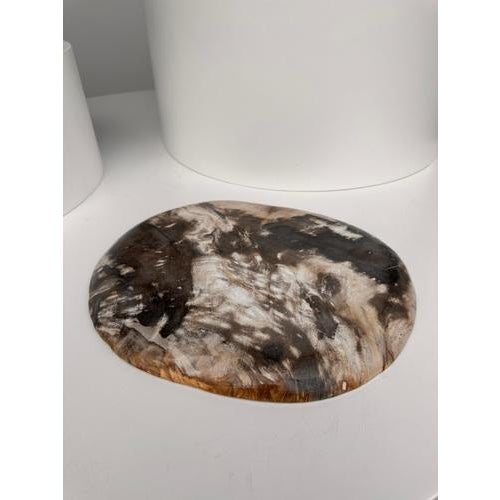 Very Large Vide-Poche or Dish in Petrified Wood For Sale - Image 17 of 18