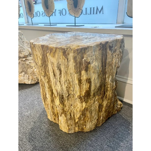 Fossil Wood Stump Table | Chairish
