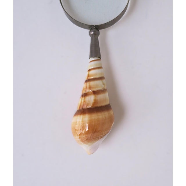 Magnifying Glass Seashell Handle For Sale - Image 10 of 13