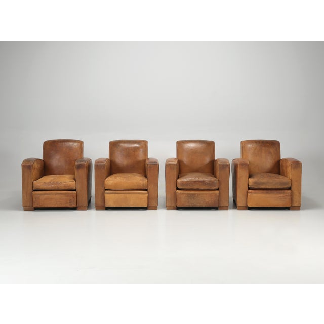 French Leather Club Chairs Restored Internally and Cosmetically Still Original For Sale - Image 12 of 12