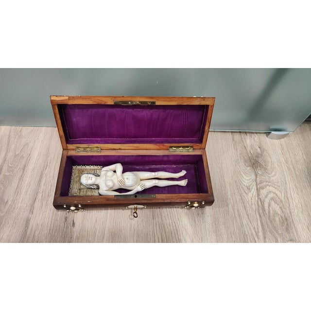 German Anatomical Model of a Pregnant Woman by Stephen Zick, 1700s For Sale - Image 9 of 18