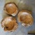Vintage Striped Teak Root Bowl Large For Sale - Image 4 of 4